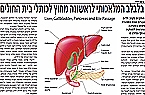 ניסוי בלבלב המלאכותי לראשונה מחוץ לכותלי בית החולים