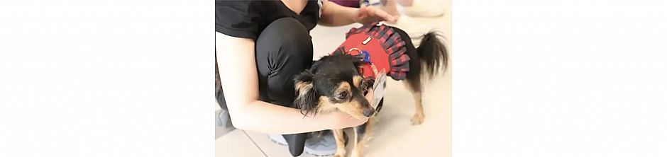 הילד מסרב ללכת לביה"ס? בשניידר הקימו תכנית רגשית בשביל זה