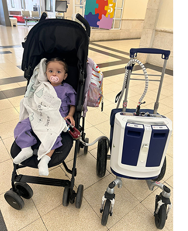 ליב בת השנה
